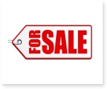 Essays for Sale