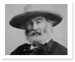 Essay Papers on Walt Whitman