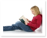 essay on a novel