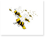 Life of Bees Essays